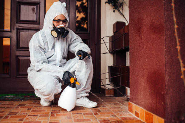 Attic and Crawl Space Rodent Treatment in June Park
